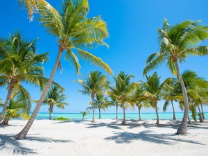 Vakantie vieren en Reizen is iets wat ik onbeperkt zou willen doen.